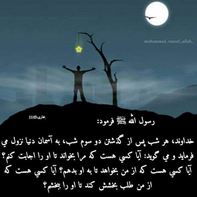 حدیثی از پیامبر اکرم در مورد خداوند مهربان